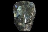 Tall, Single Side Polished Labradorite - Madagascar #81393-1